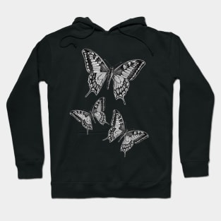 Butterflies Hoodie